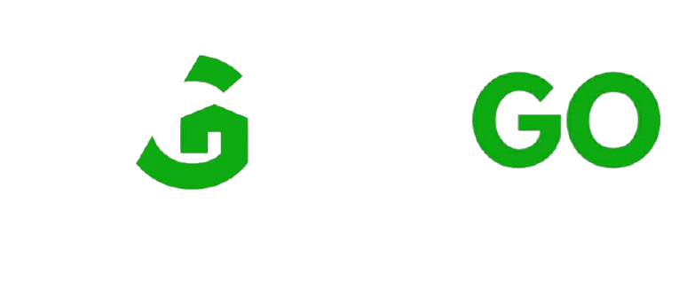 VieGo Fulfillment logo